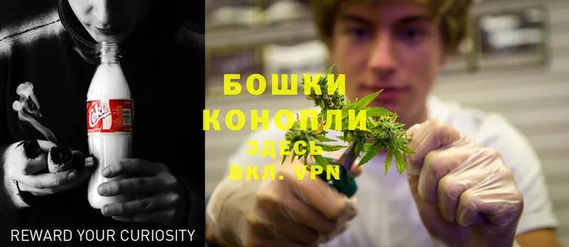 Бошки марихуана Ganja  даркнет сайт  Зима 